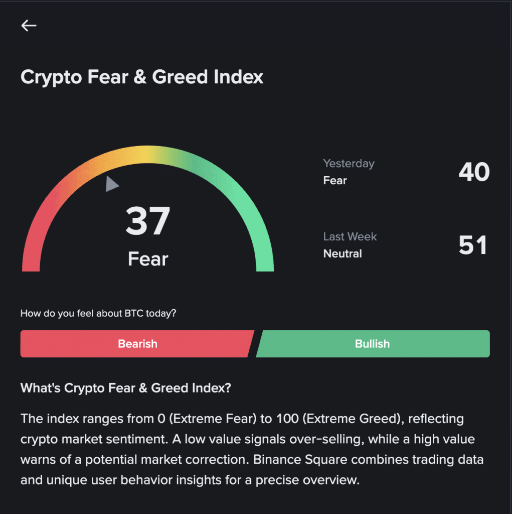 crypto fear and index binance