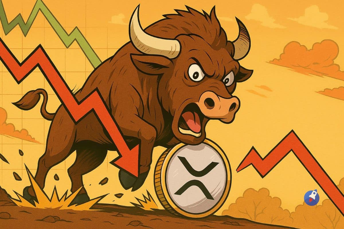 bull run xrp