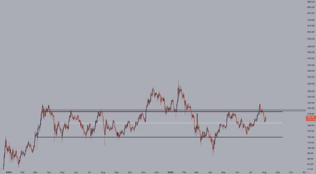 Crypto Jelle SOL
