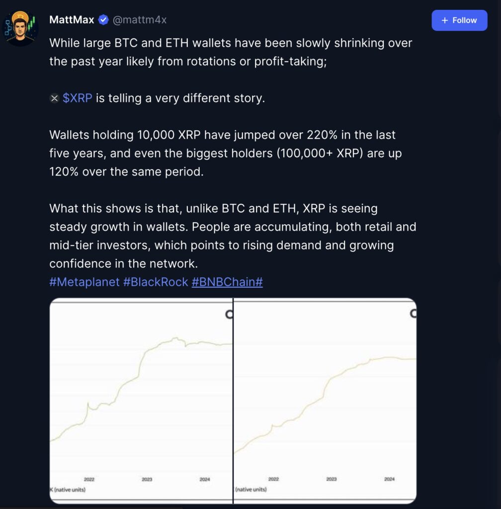 matt max post XRP