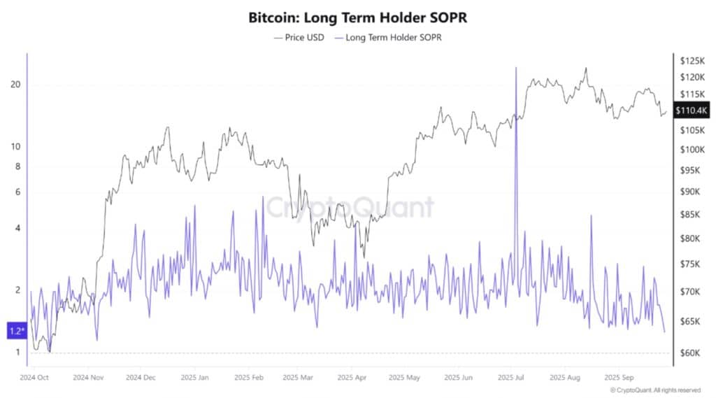 détenteurs long terme