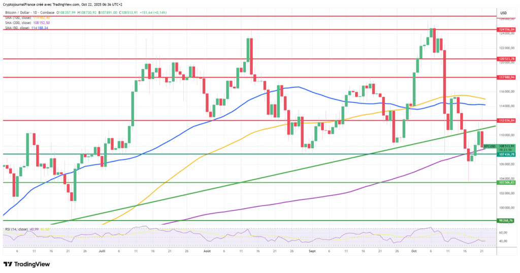 Graphique Bitcoin journalier