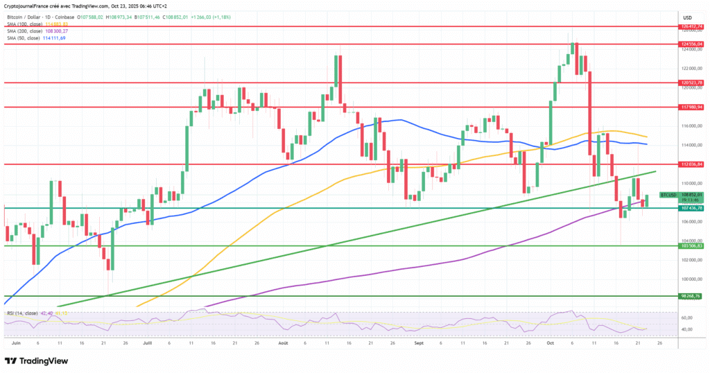 Graphique Bitcoin journalier