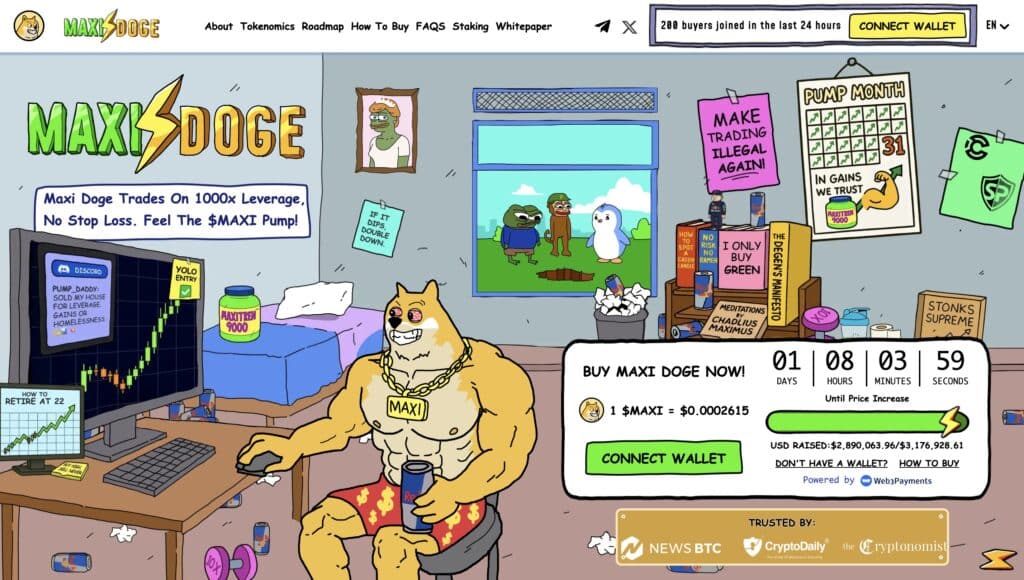 maxi doge