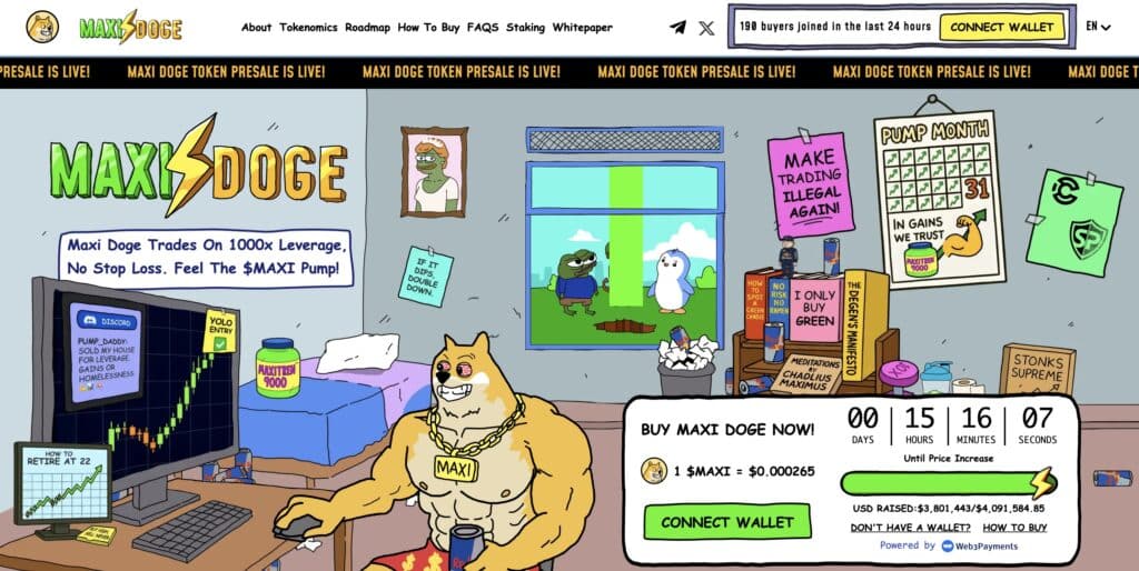 maxi doge