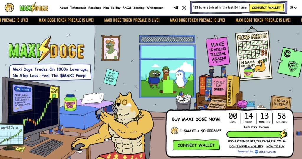 maxi doge