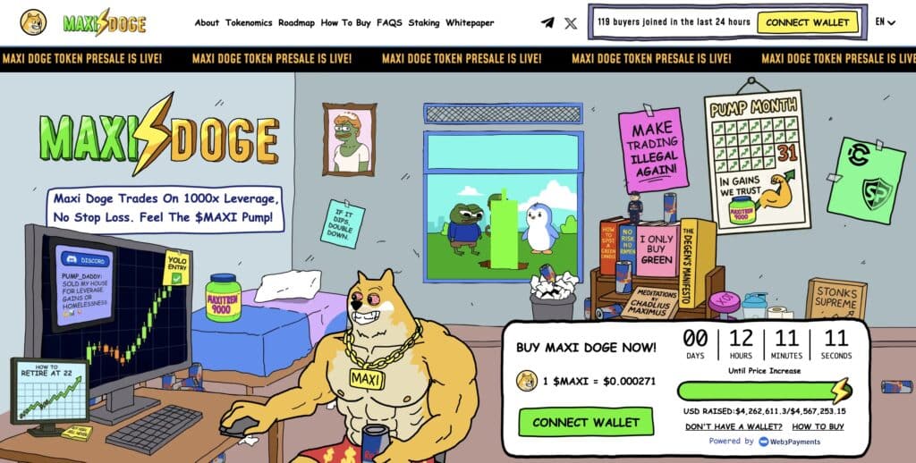 maxi doge