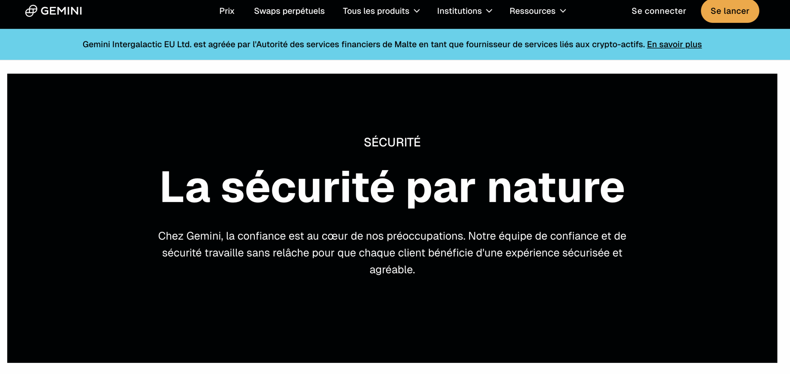 Gemini Sécurité
