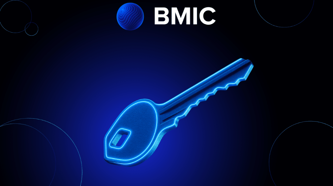 BMIC