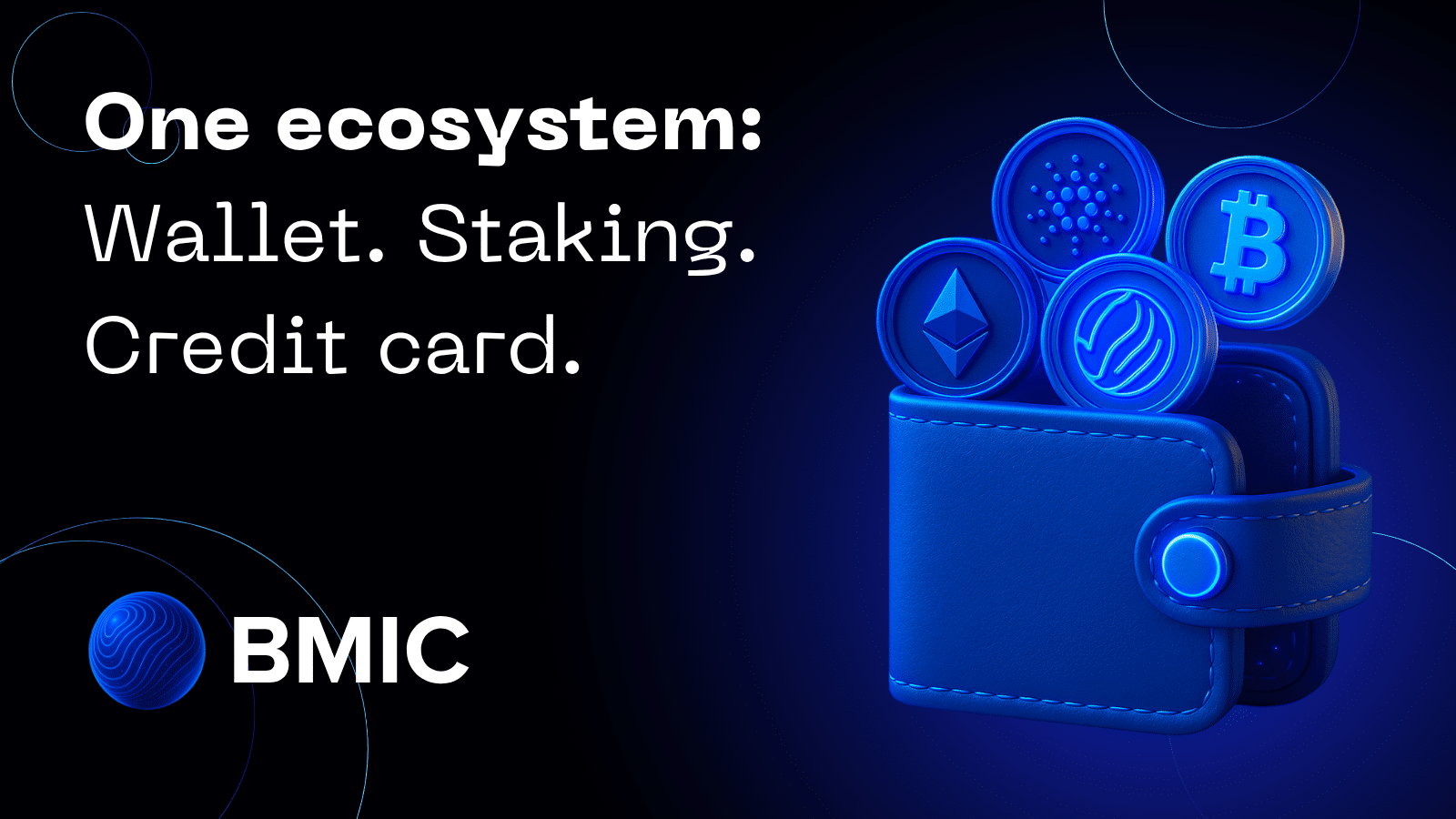 ecosysteme BMIC