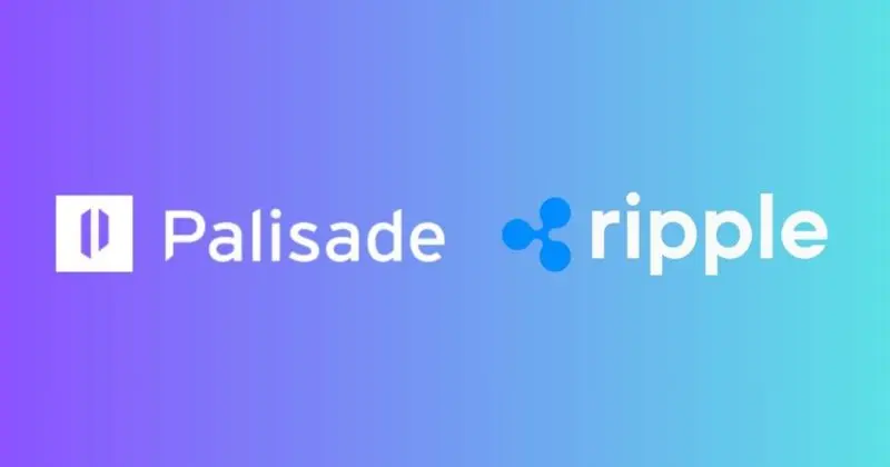 Logos of Palisade and Ripple on a gradient background.