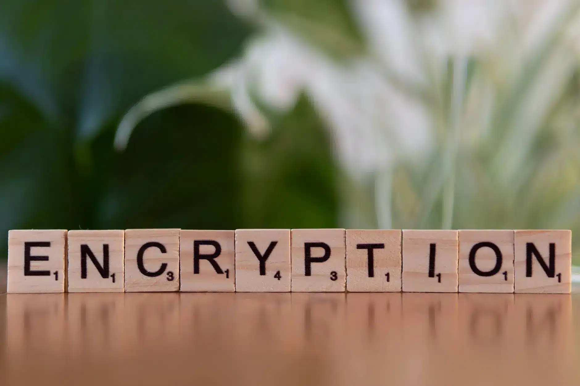 Scrabble tiles spelling 'ENCRYPTION' on a wooden surface with a blurred green background.