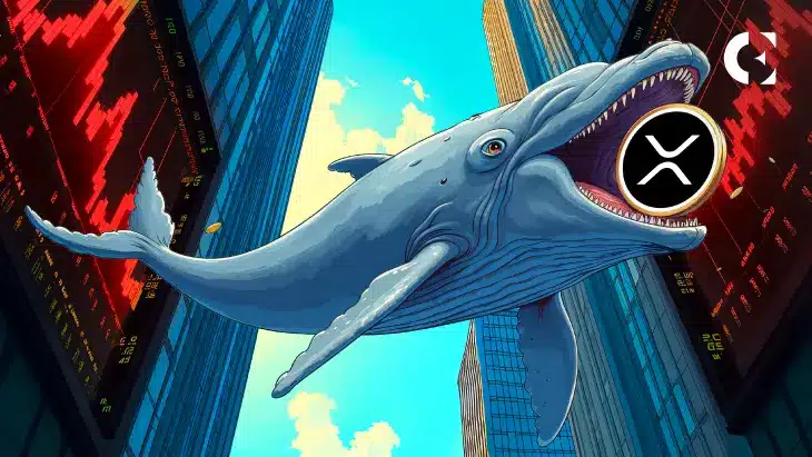 A whale graphic holding an XRP logo, with stock market charts in the background.