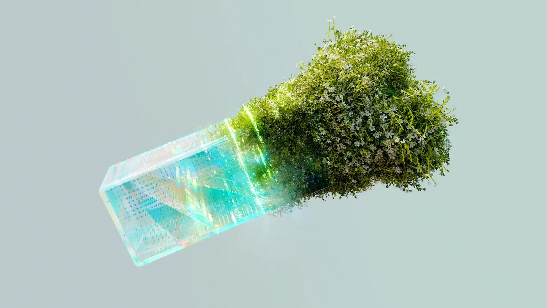 A translucent block with a lush green plant emerging from it against a light background.