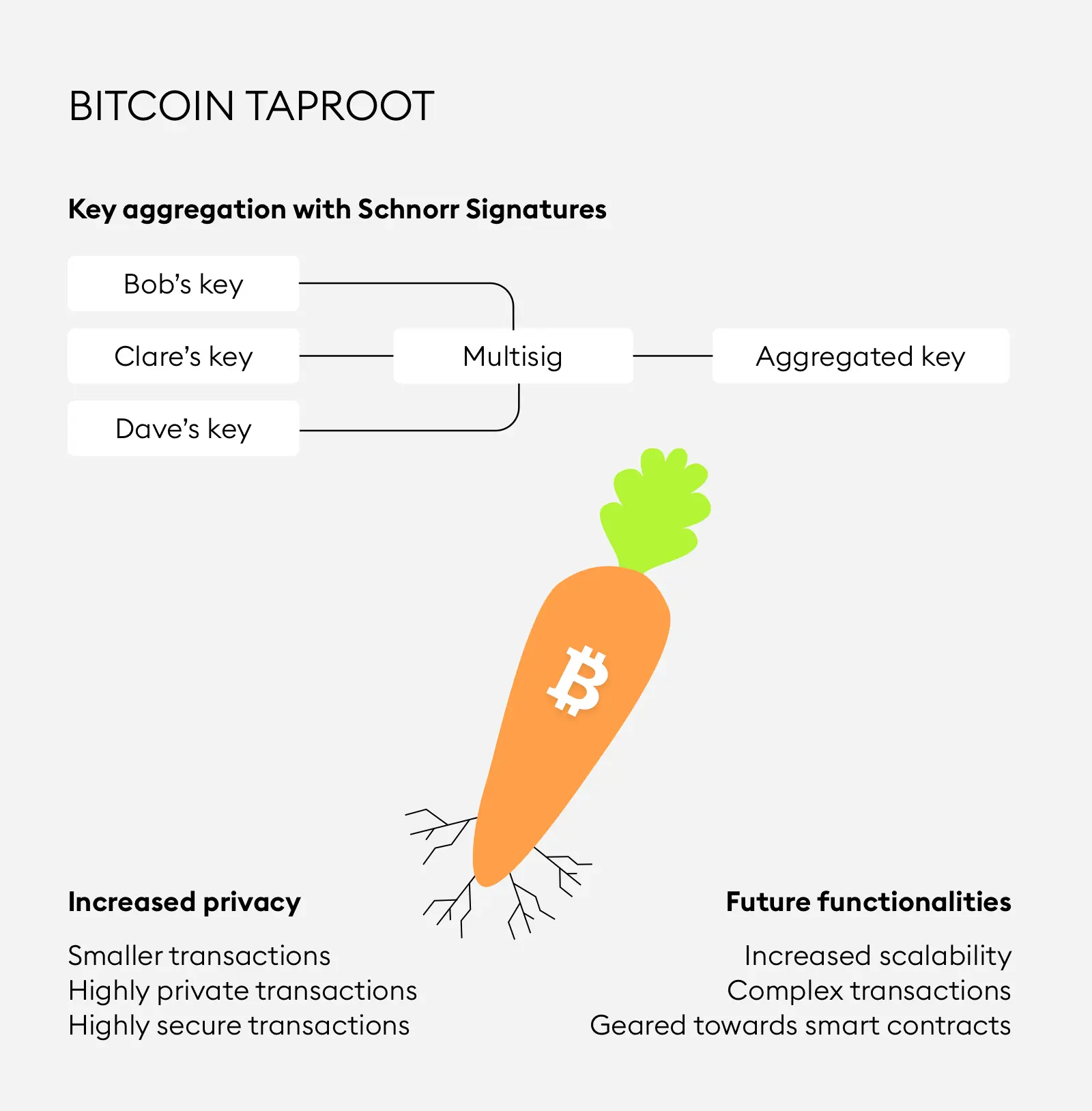 Diagram explaining Bitcoin Taproot with Schnorr Signatures and key aggregation.