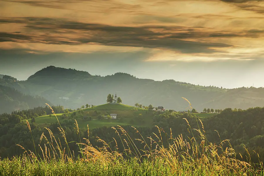 A scenic landscape with hills, a small church, and tall grass during sunset.
