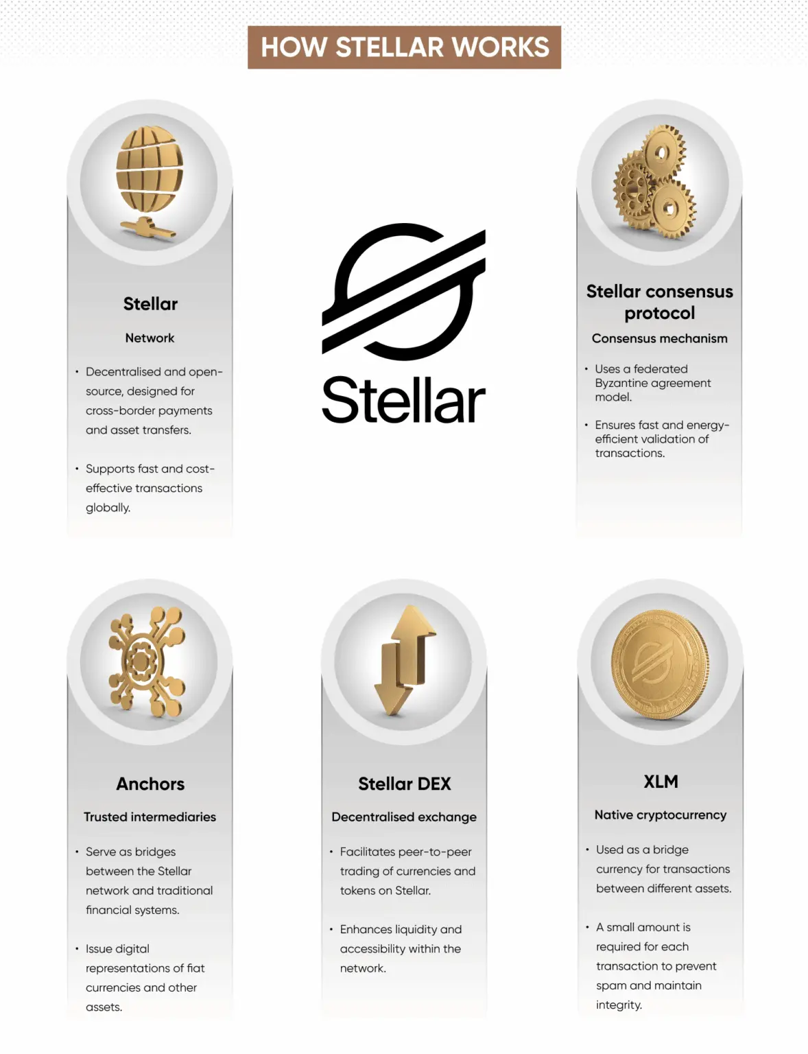 Infographic explaining Stellar network components including consensus, anchors, DEX, and XLM.